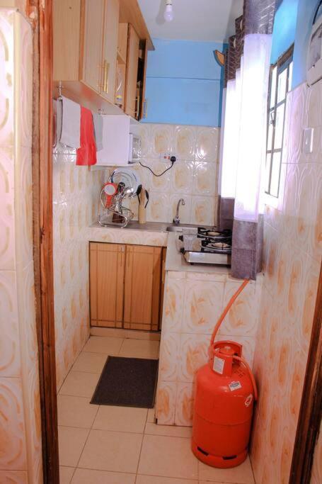 Cozy Homes 1 Bedroom House With Wi-Fi King Size Bed. Free Parking Naivasha Exterior photo